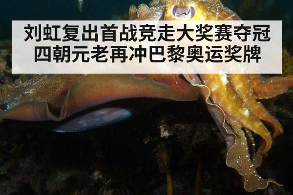 刘虹复出首战竞走大奖赛夺冠 四朝元老再冲巴黎奥运奖牌